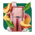 ELFBAR BC 20000 PIERSICĂ PLUS 5%
